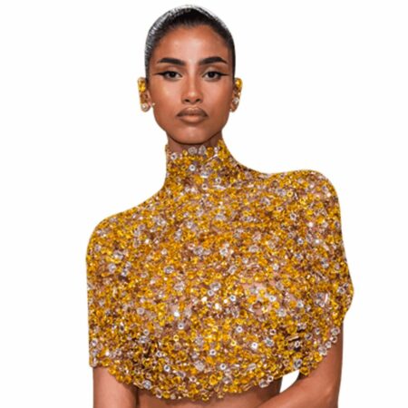 Featured image for “Imaan Hammam (Gold) Buddy - Torso Up Cutout”